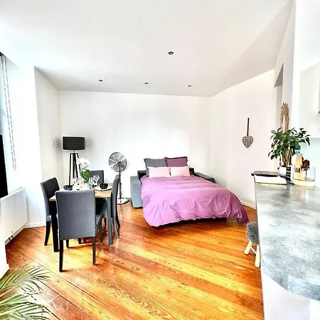 Apartment Hyper Centre - Cathedrale - Parking Gratuit